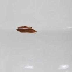 30" Ceramic Callie Table Lamp White - Decor Therapy 12 30" Ceramic Callie Table Lamp White - Decor Therapy -Desk Lamps sales shop unnamed file 4937